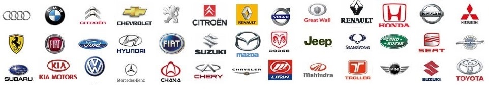 VW, Fiat, GM, Ford, chevrolet, renault, peugeot, citroen, honda, toyota, nissan, mazda, hyundai, kia